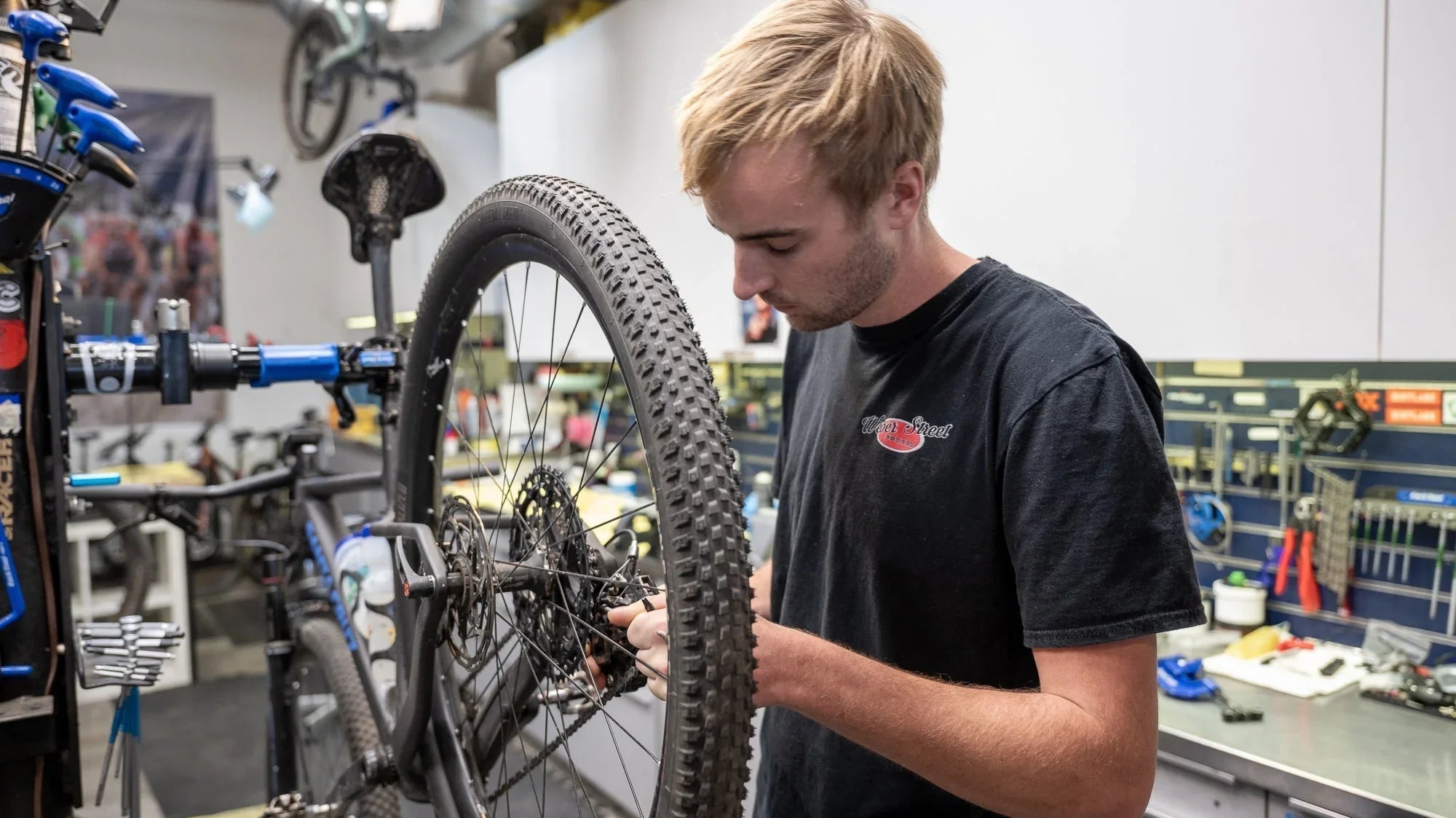 End-of-Season Bike Maintenance Checklist: Preparing Your Bike for Winter - Cripple Creek Backcountry