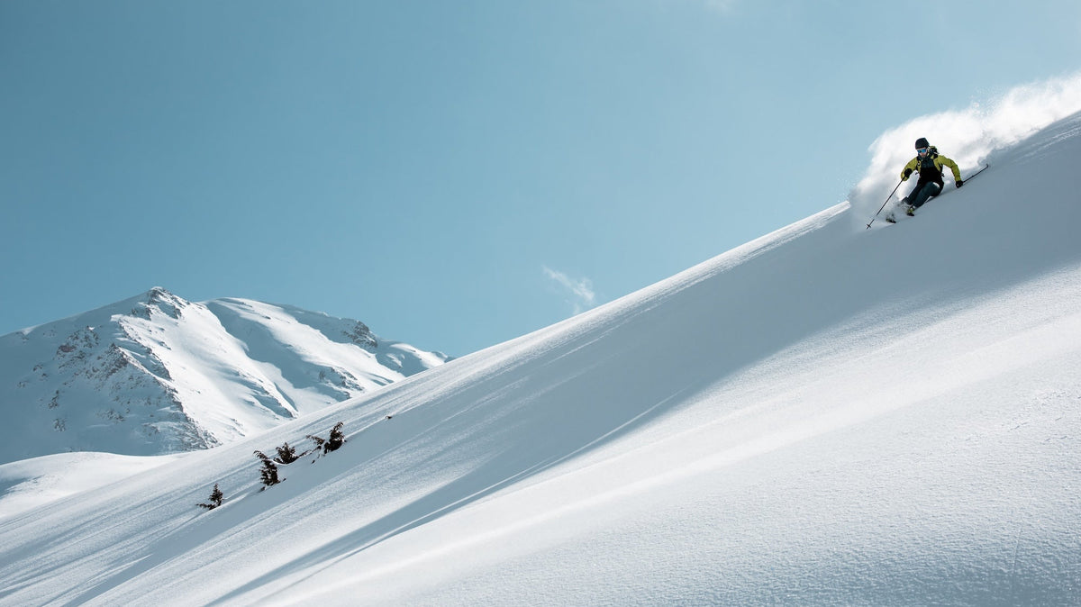 Best of Touring Skis 2026