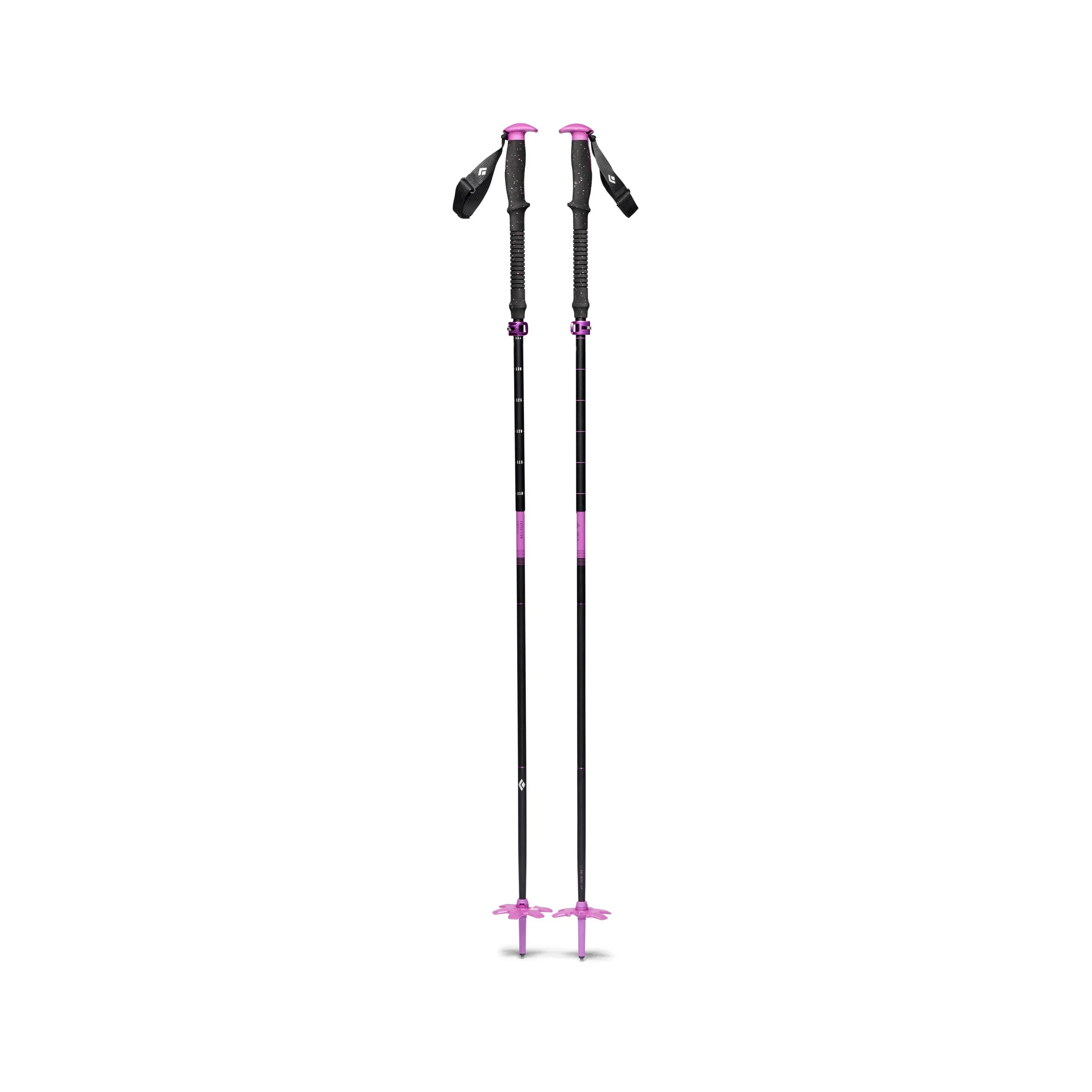 Black Diamond Expedition Compactor Ski Poles Poles - Touring Poles Black Diamond