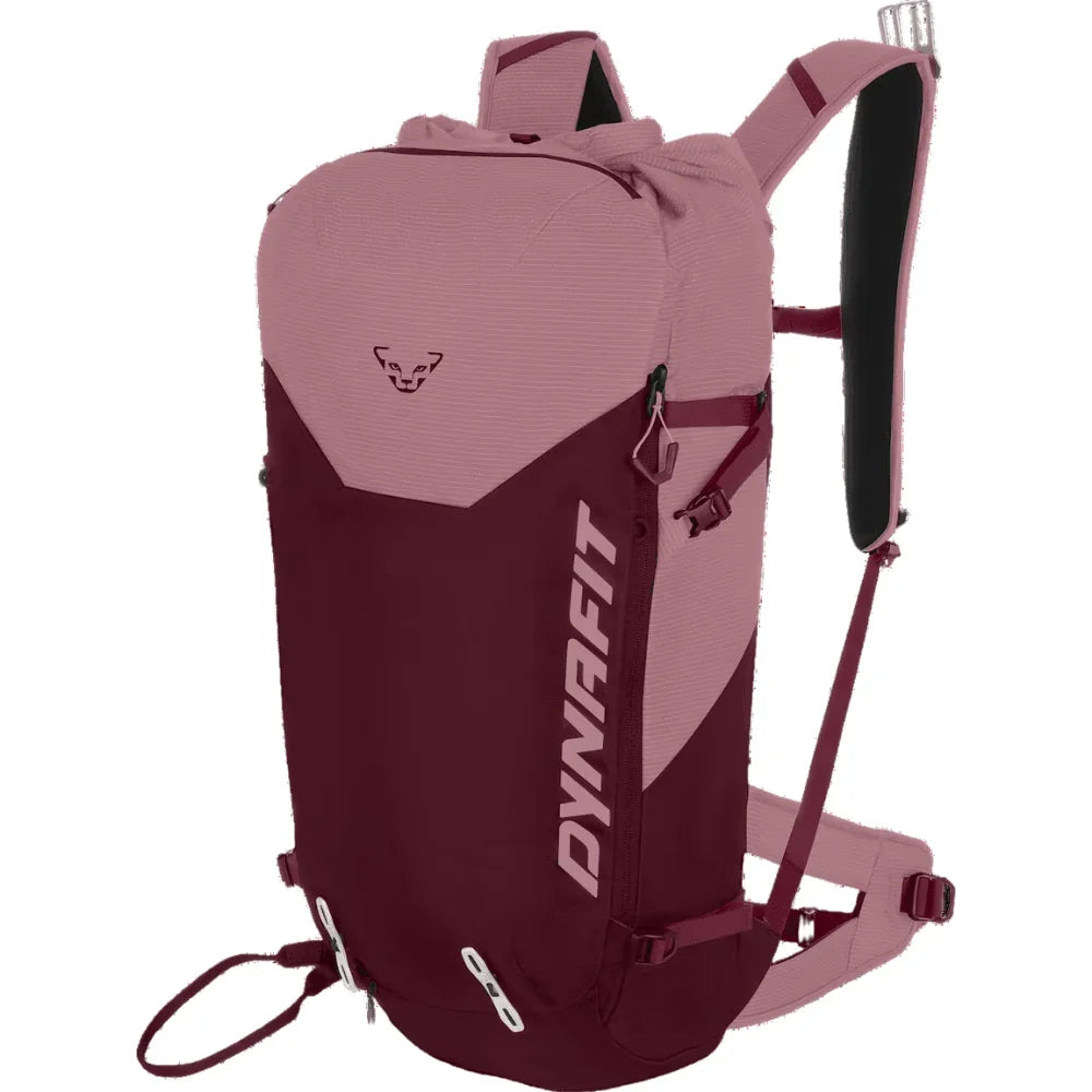 Dynafit W Radical 30+ Ski Touring Backpack Backpacks and Bags - Winter Pack Backcountry Dynafit Mokarosa/Burgundy