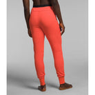 The North Face W Summit Futurefleece Pant Winter Apparel - Winter Apparel Womens Base Layer Bottom The North Face