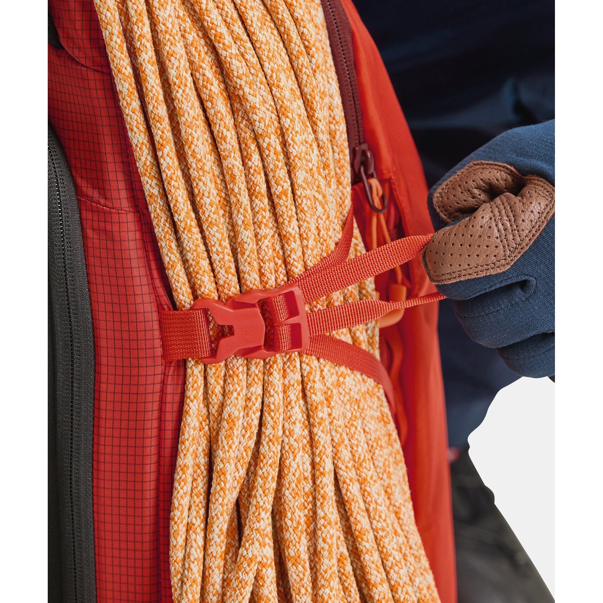 Ortovox Switchback 32 Pack Backpacks and Bags - Winter Pack Backcountry Ortovox