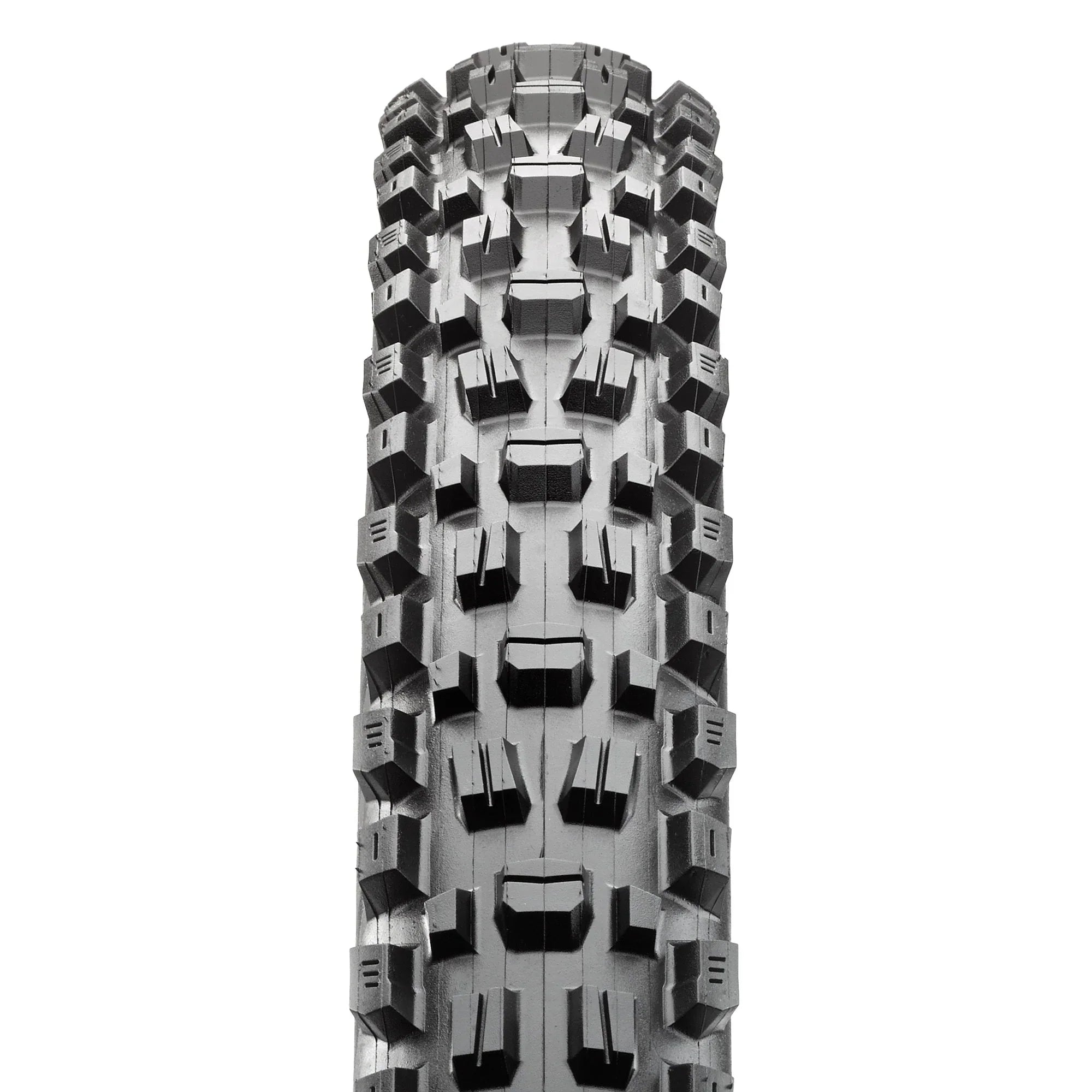 Maxxis Assegai Tire 29x2.50 2-Ply 120tpi DD 3C Maxx TR WT Tires and Tubes - Mountain Tires - 29" Maxxis