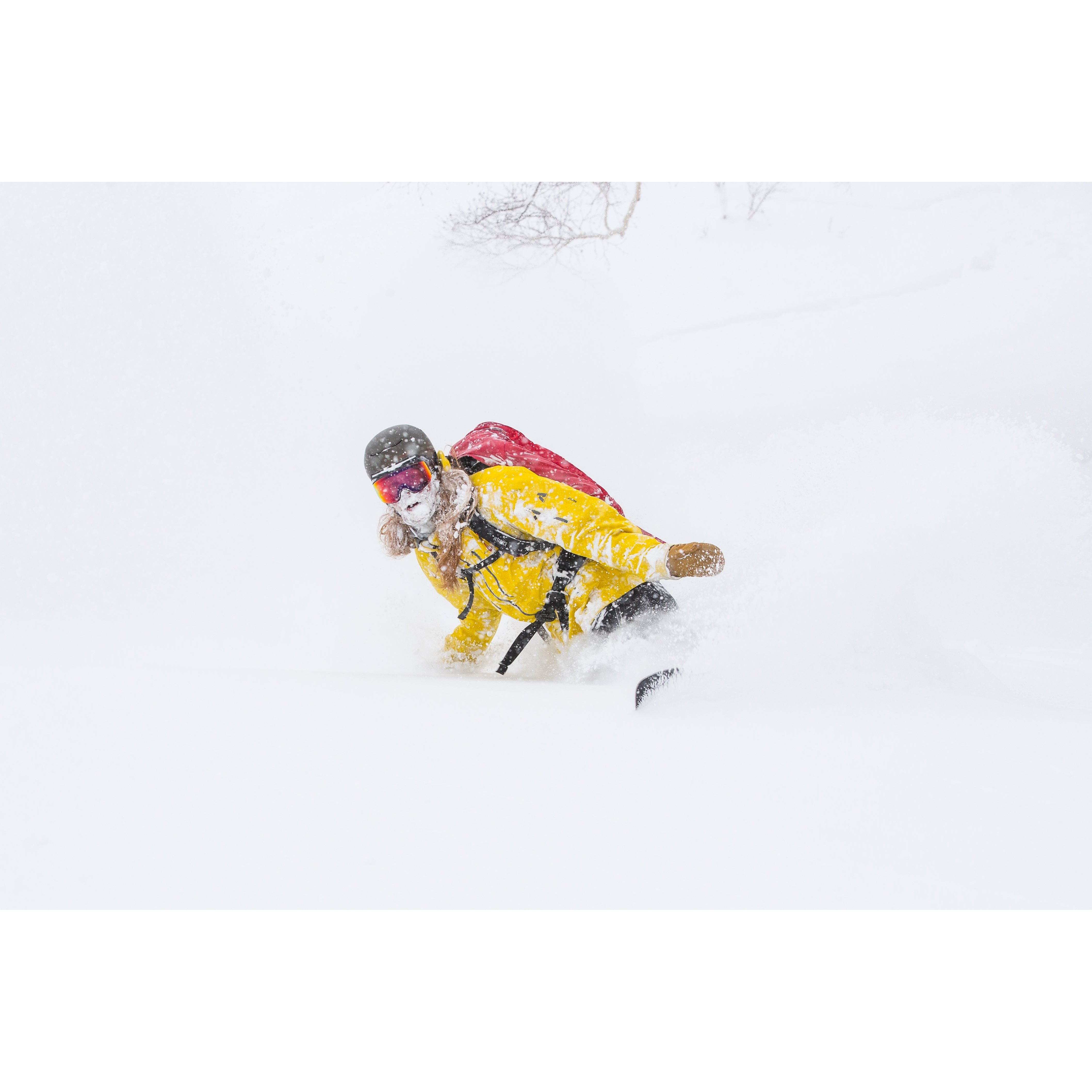 Japow Splitboard x Hokkaido Backcountry Club Splitboard Weston