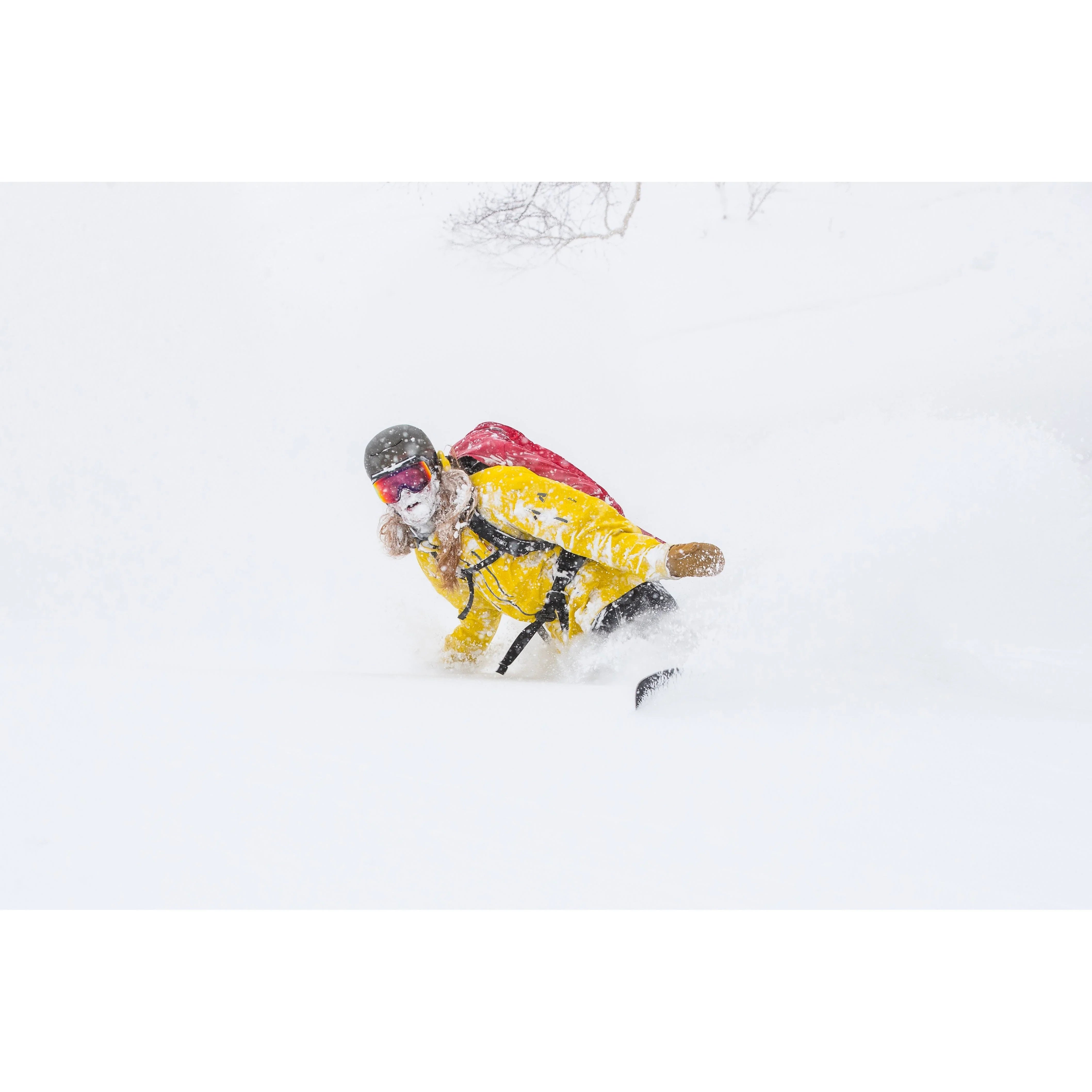 Japow Splitboard x Hokkaido Backcountry Club Splitboard - Splitboards Mens Weston
