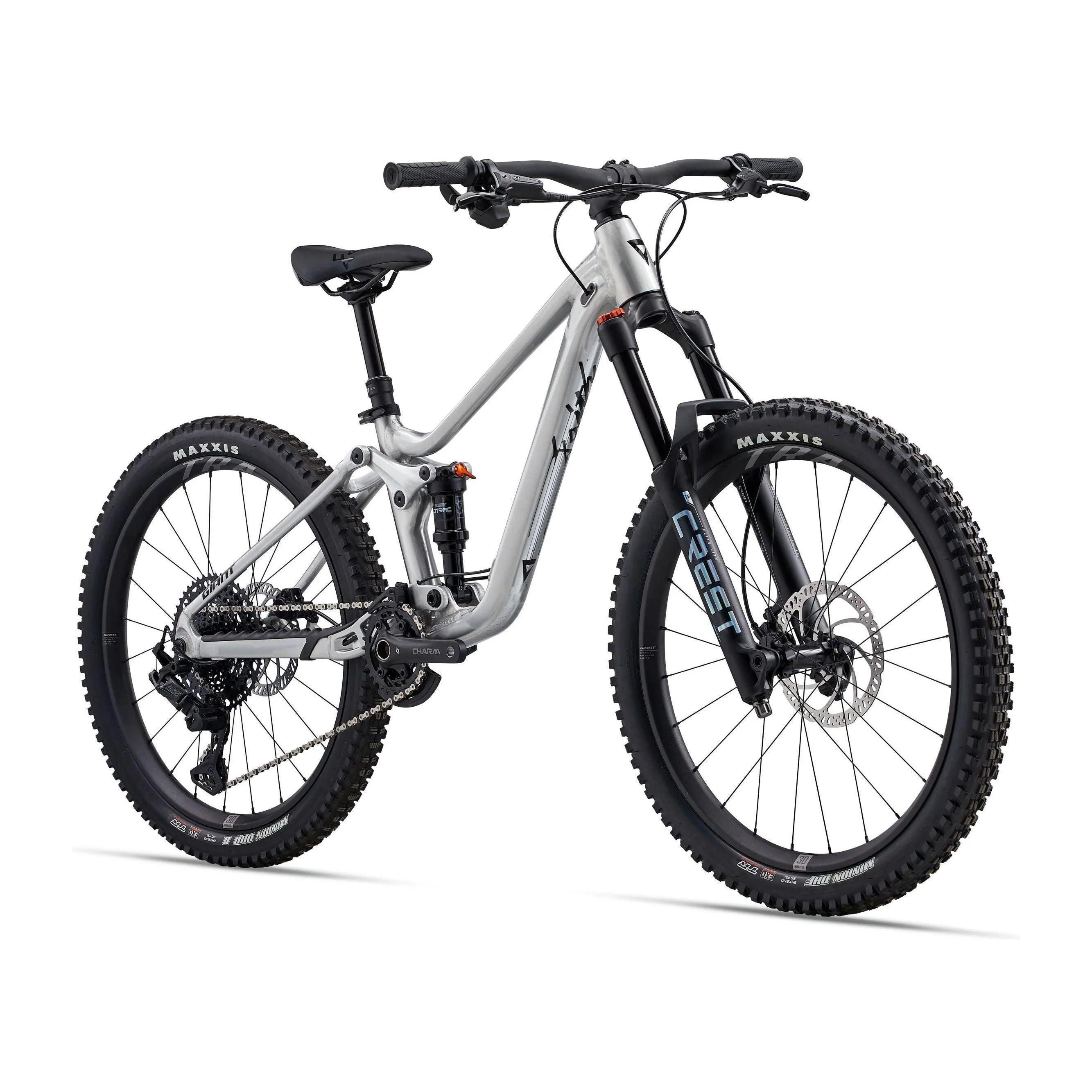 Giant Faith 24 Raw Aluminum Bicycle - Kids Bikes - 24" Giant