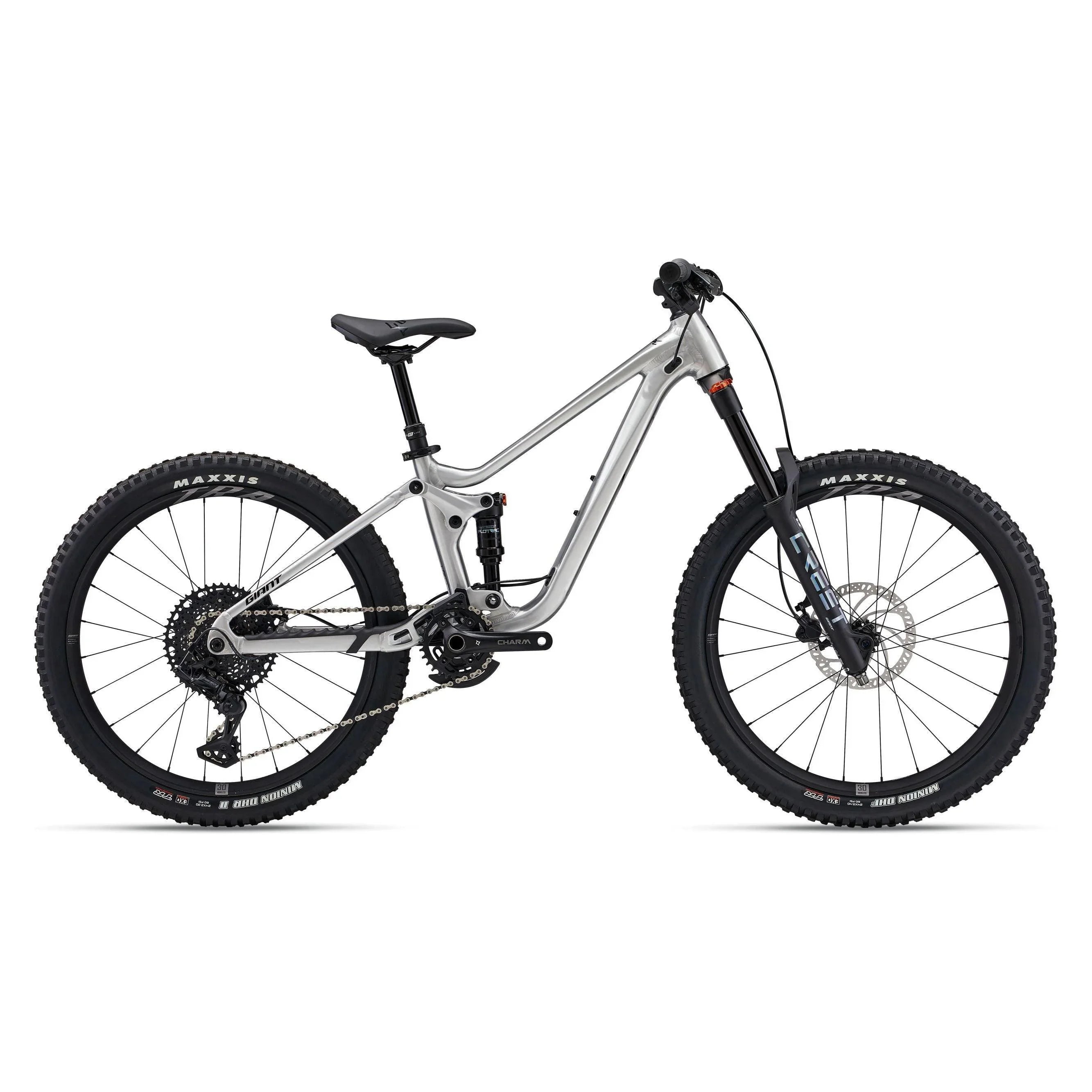 Giant Faith 24 Raw Aluminum Bicycle - Kids Bikes - 24" Giant