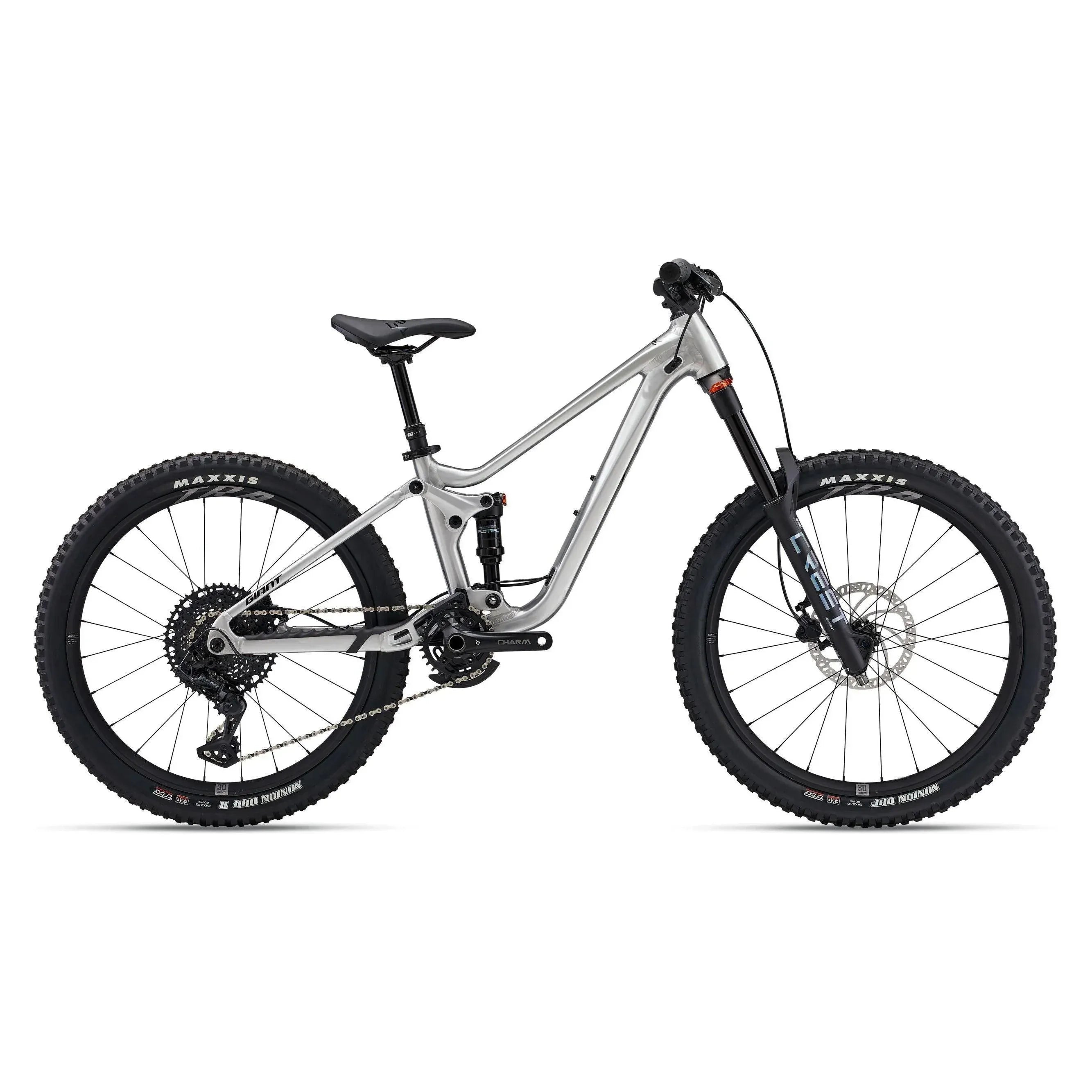 Giant Faith 24 Raw Aluminum Bicycle - Kids Bikes - 24" Giant