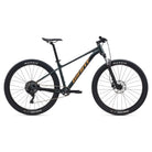Giant Talon 29 2 Bicycle - Mountain - Hardtail Giant Large Asphalt Green