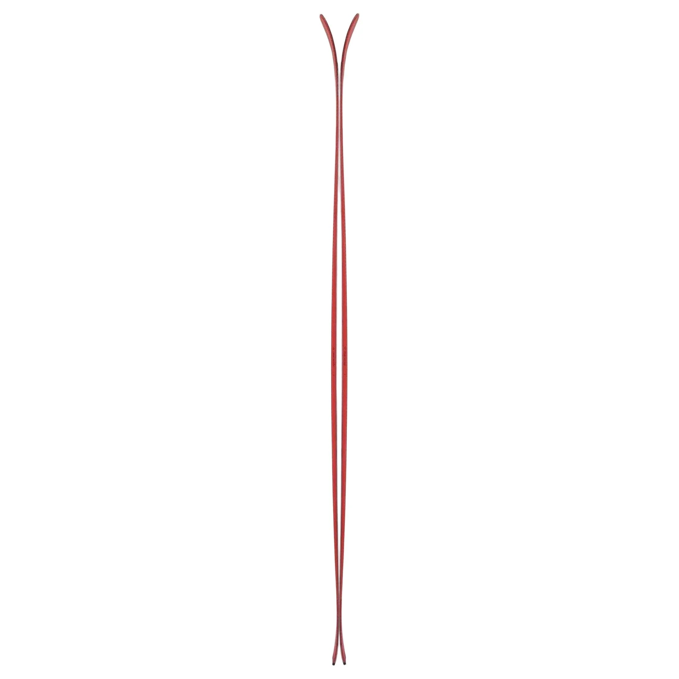 Black Crows Camox Freebird Alpine Touring Ski (2026) Skis - Touring Skis - All Mountain - Mens Black Crows