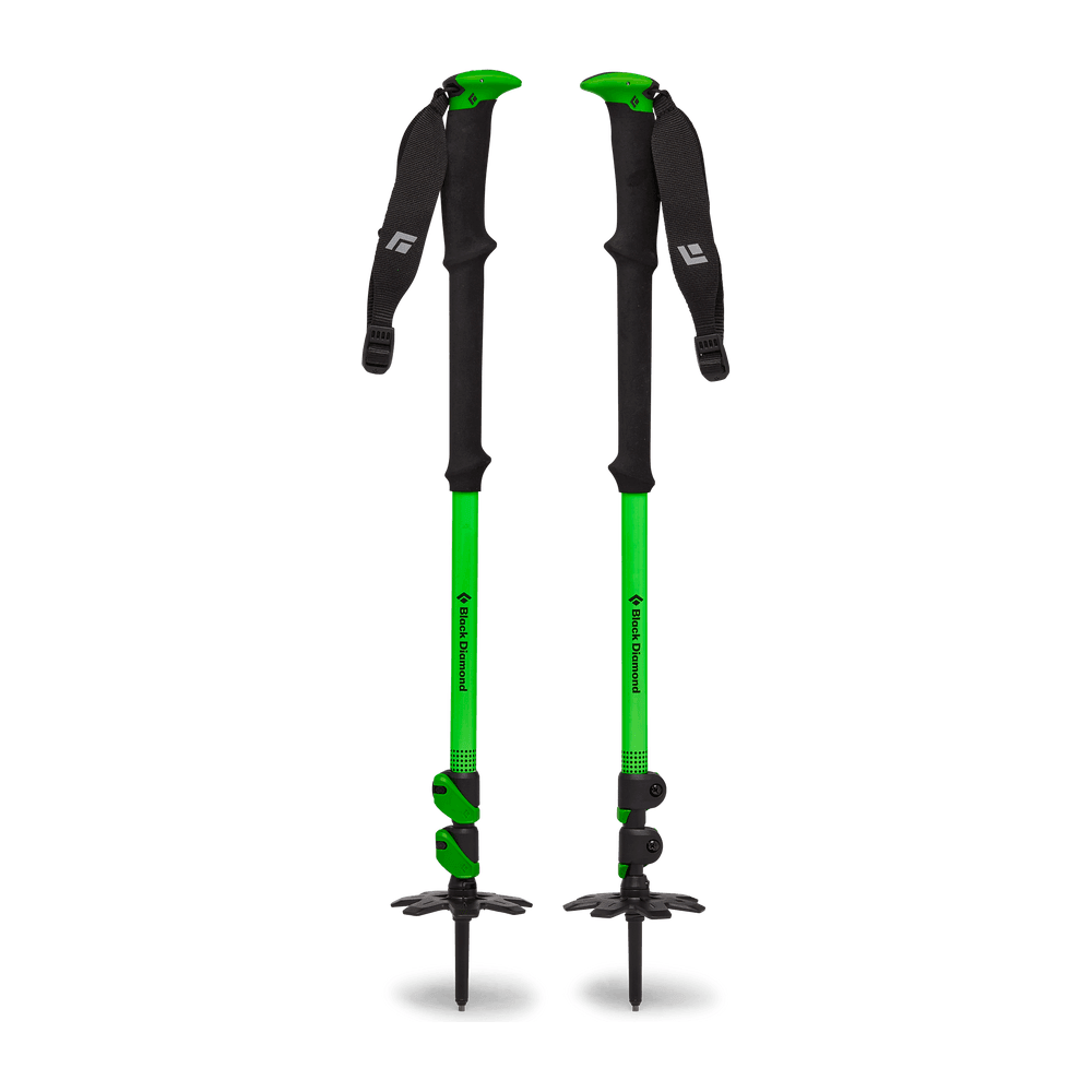 Black Diamond Expedition 3 Whippet-Ready Ski Pole Poles - Touring Poles Black Diamond