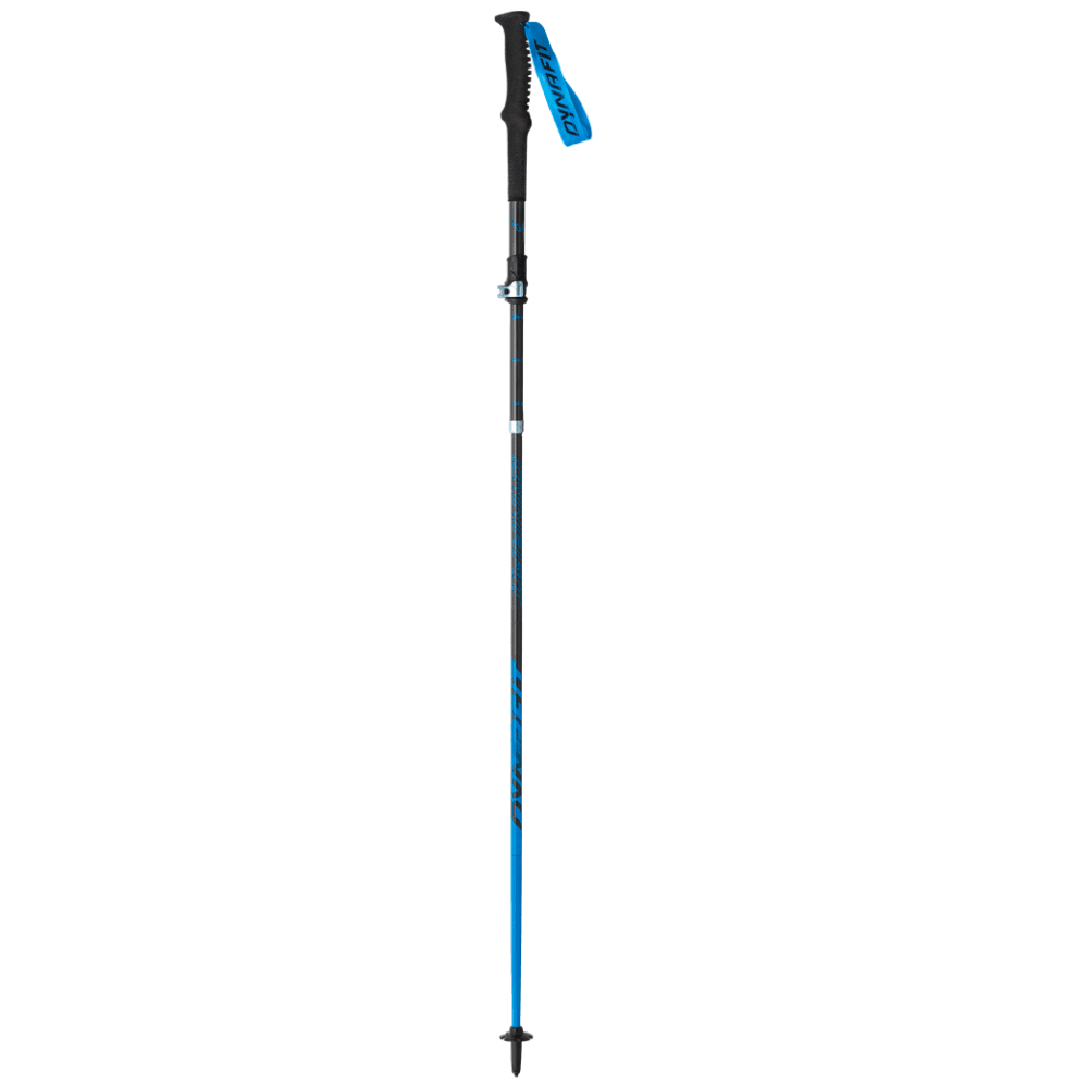 Dyanfit Ultra Pro Poles Poles - Trekking Pole Dynafit Carbon/Methyl Blue