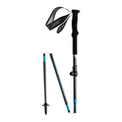 Dyanfit Ultra Pro Poles Poles - Trekking Pole Dynafit