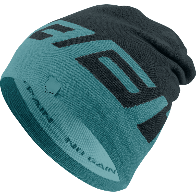 Dynafit FT Beanie Winter Apparel - Hats and Beanies Dynafit Blueberry