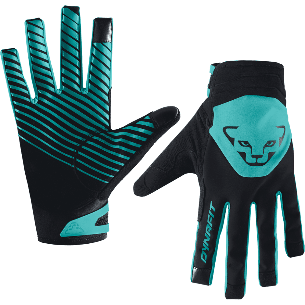 Dynafit Radical 2 Softshell Gloves Winter Apparel - Gloves Dynafit Medium Marine Blue