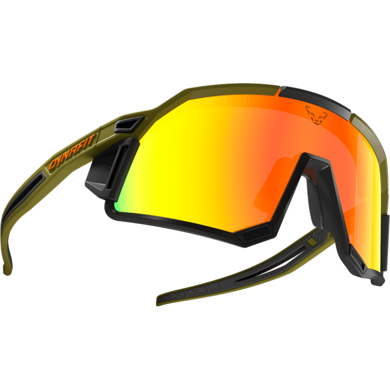 Dynafit Sky Evo Sunglasses Eyewear - Sunglasses Dynafit WinterMoss/Dawn Cat 4