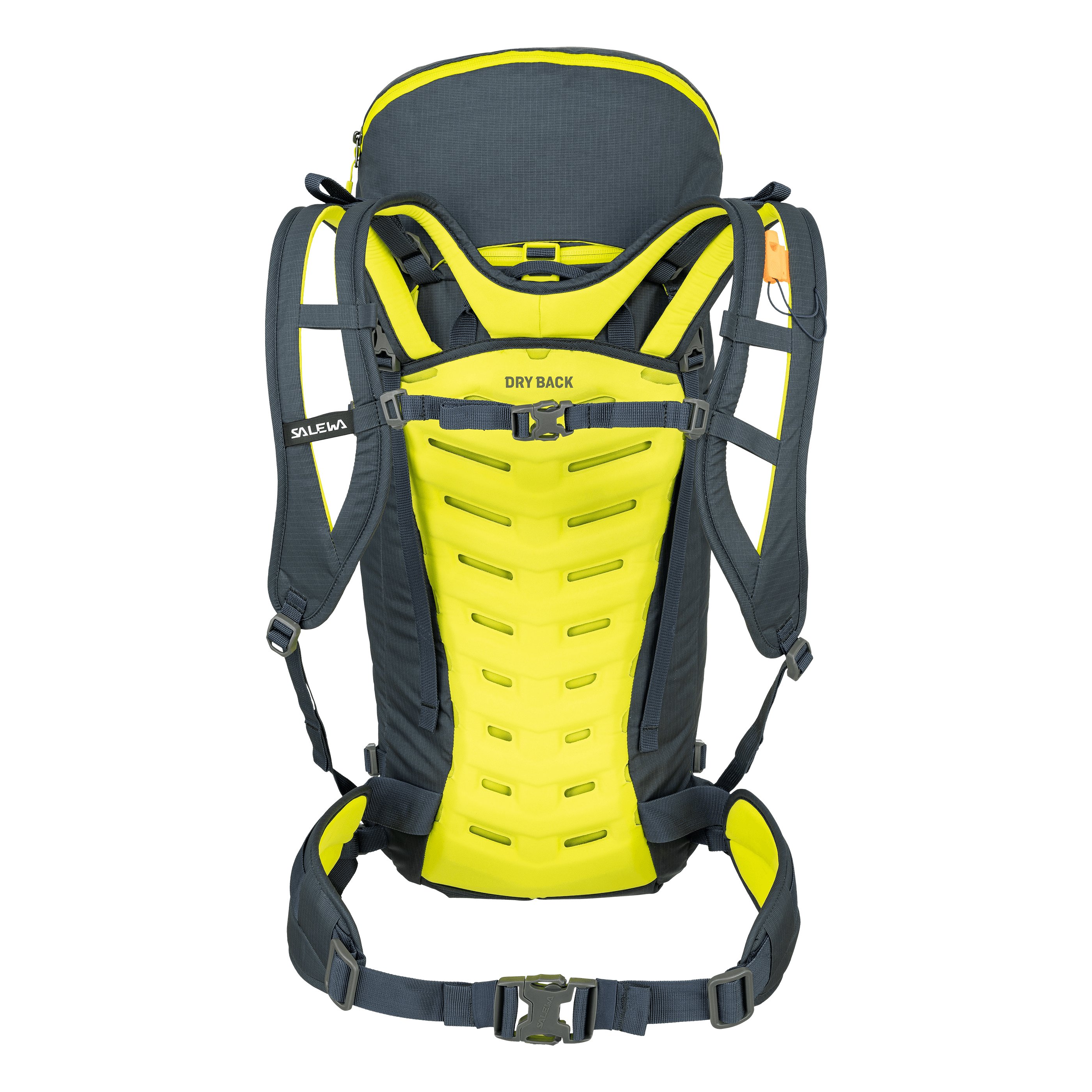 Salewa Apex Guide 35 Mountaineering Pack Backpacks and Bags - Winter Pack Backcountry Salewa