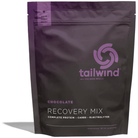 Tailwind Recovery Mix Cycling Accessories - Food Tailwind Nutrition Chocolate (15 servings)