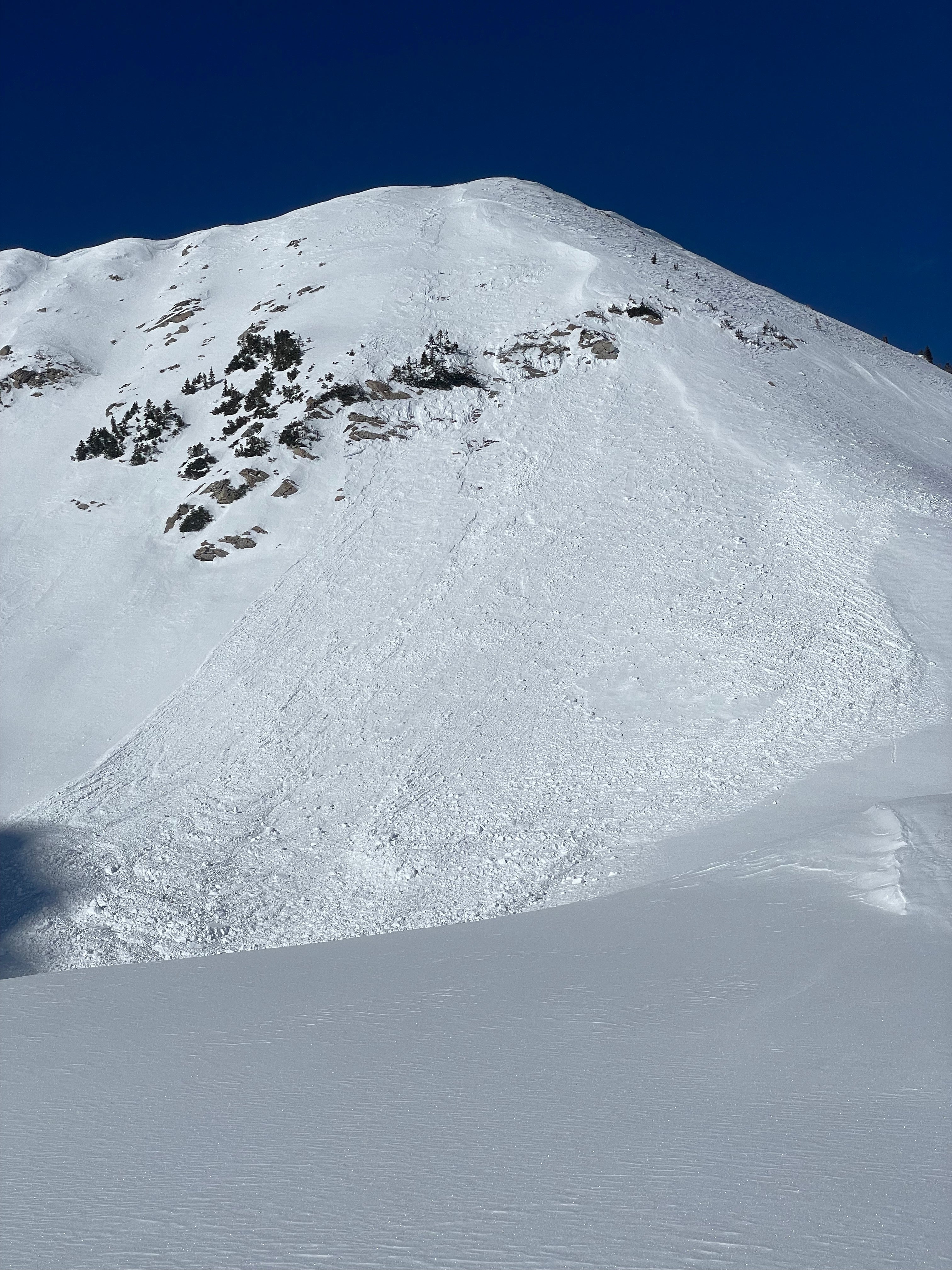 A Buyer's Guide to Avalanche Airbags - Cripple Creek Backcountry