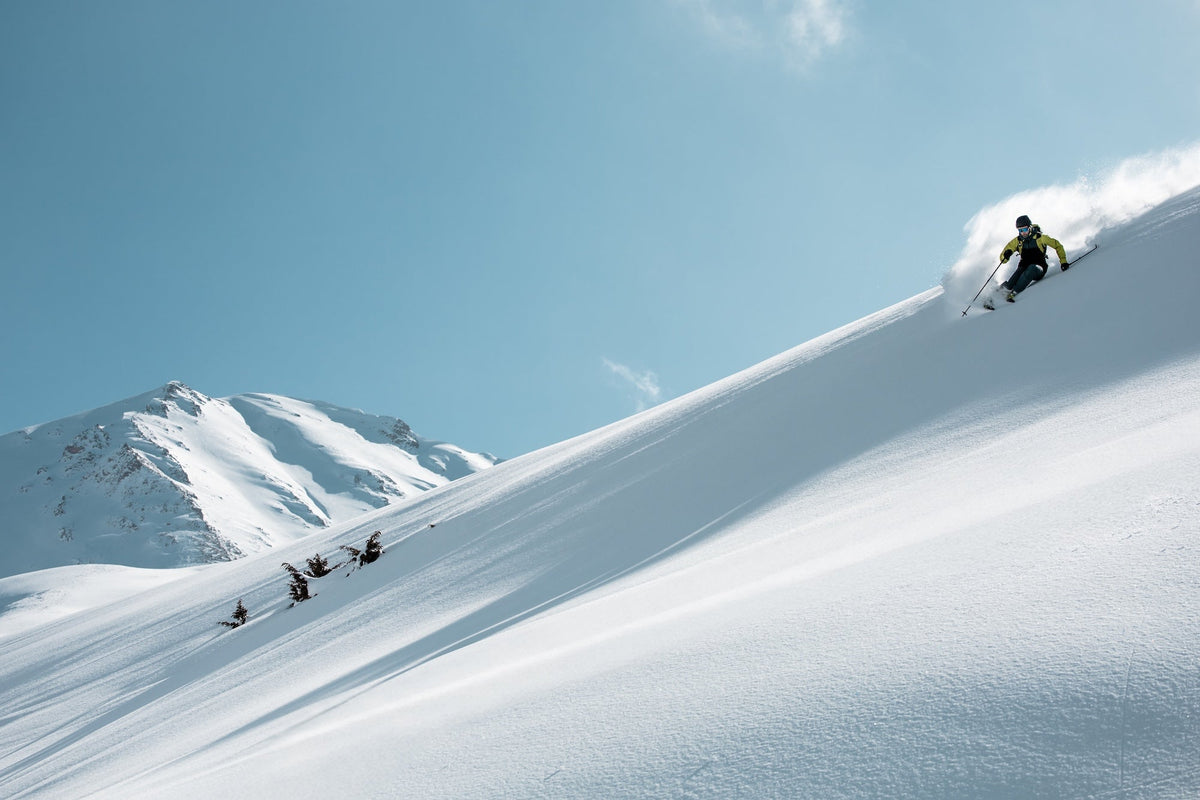 Best of Touring Skis 2026