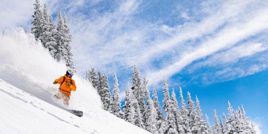 Best Splitboards for the 2024/2025 Season - Cripple Creek Backcountry