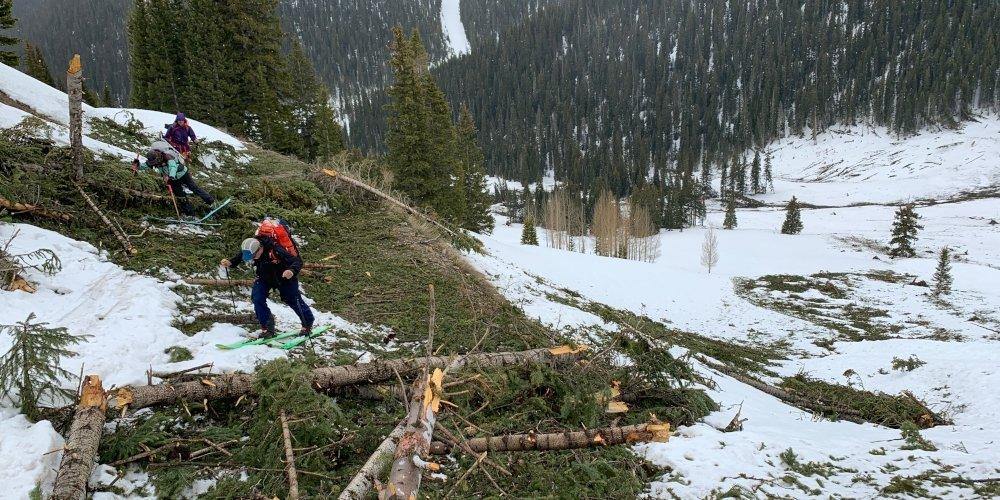 Avalanche Safety Gear: What's Required and What's Recommended? - Cripple Creek Backcountry