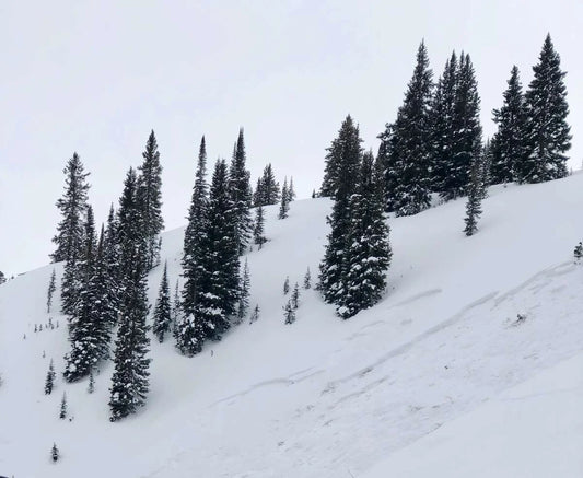 Recreational Level 1 Avalanche Training Preparation Tips - Cripple Creek Backcountry