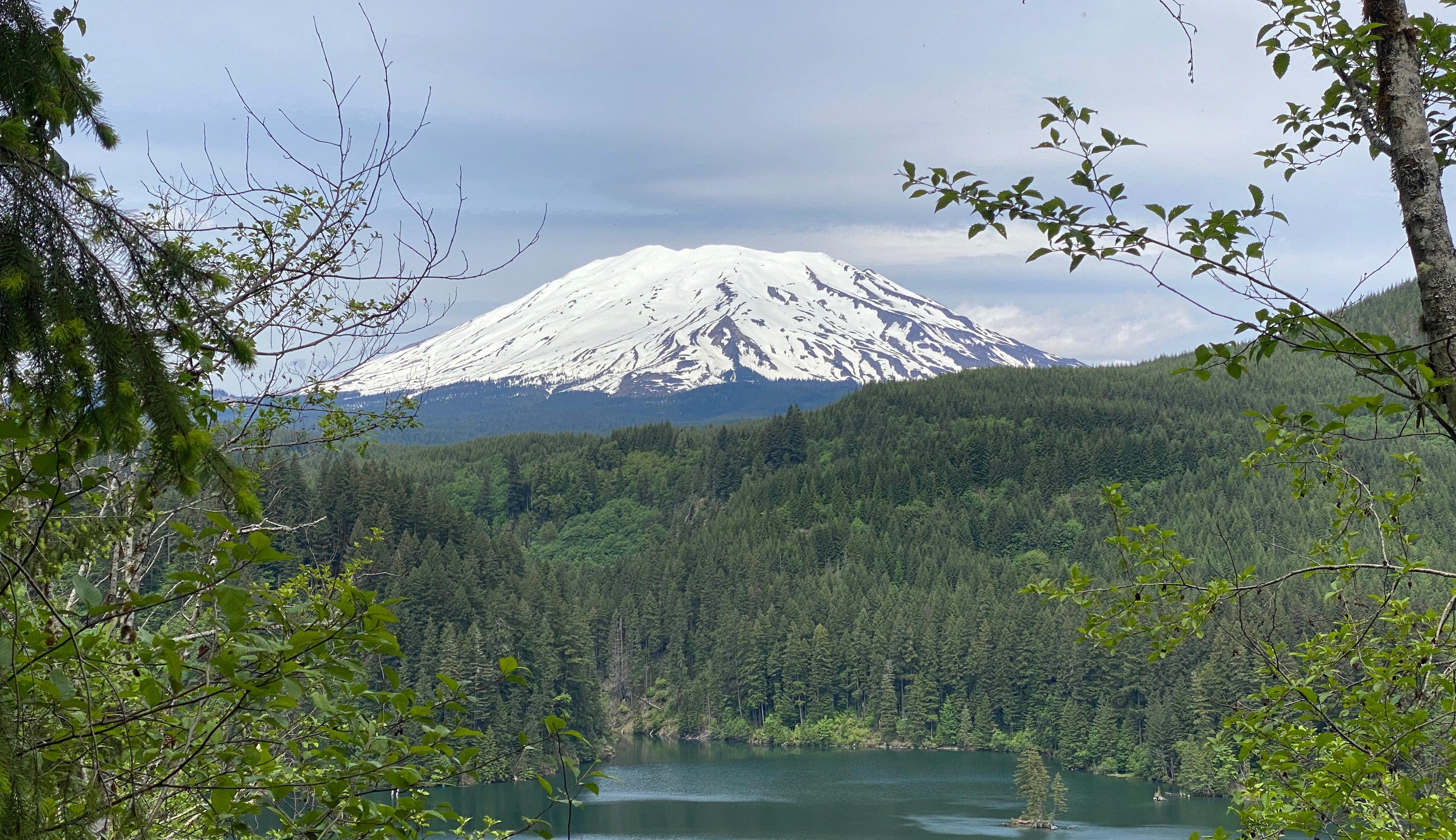 Skiing Mount St. Helens Trip Report - Cripple Creek Backcountry