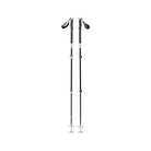 Black Diamond Expedition 3 Ski Poles Poles - Touring Poles Black Diamond 85-125 cm Desert Sage