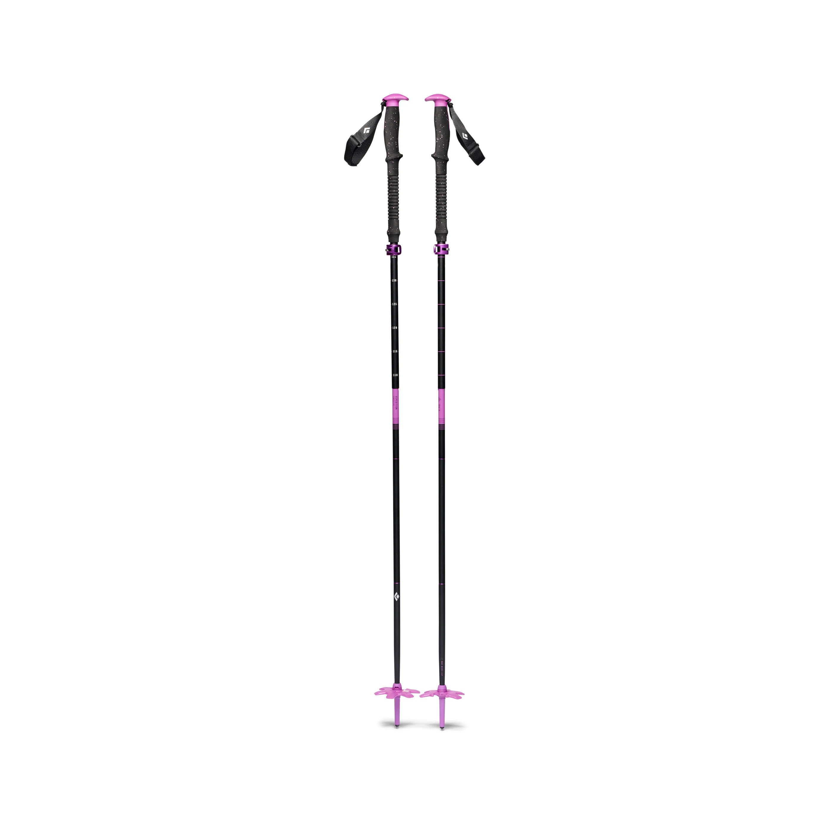 Black Diamond Expedition Compactor Ski Poles Poles - Touring Poles Black Diamond