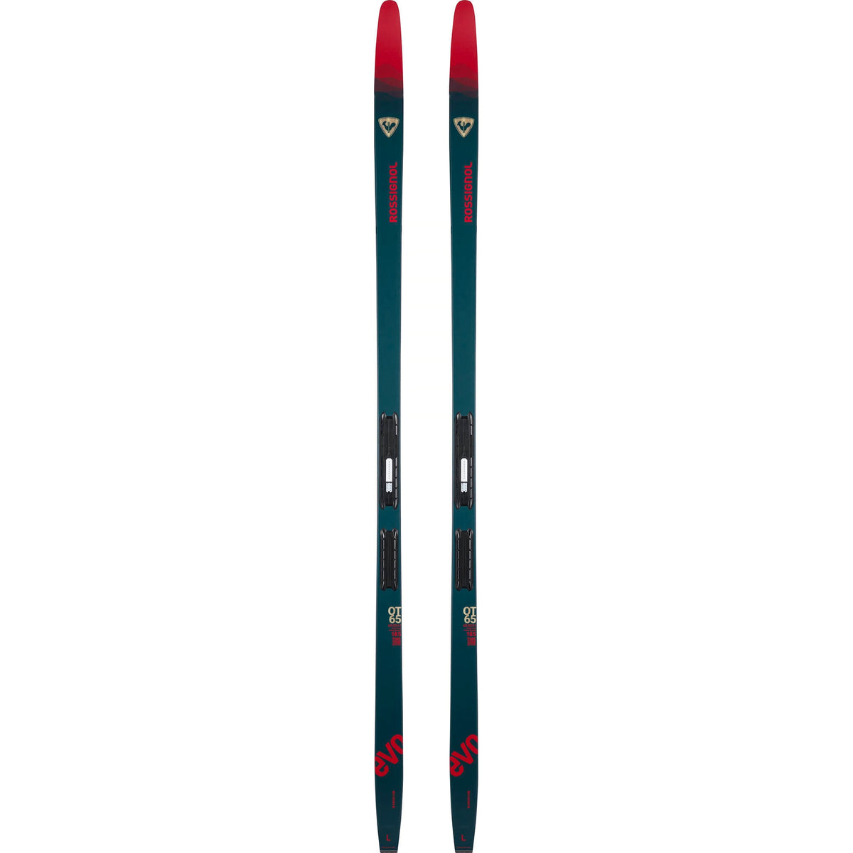 Rossignol Evo OT 65 Nordic Skis w/ NNN Binding Skis - Nordic Skis Rossignol