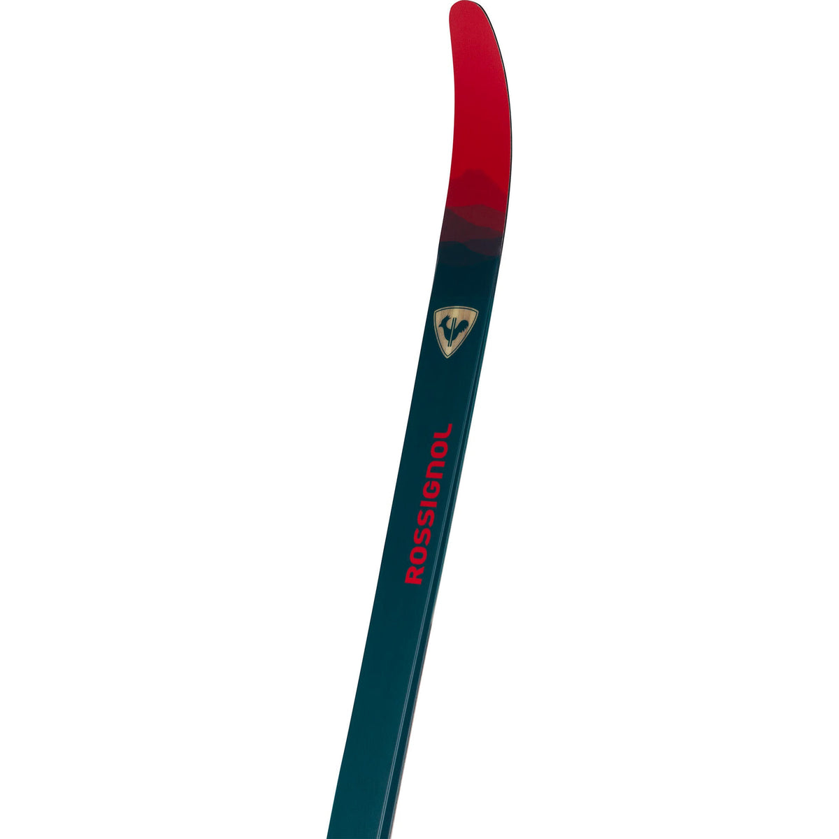 Rossignol Evo OT 65 Nordic Skis w/ NNN Binding Skis - Nordic Skis Rossignol