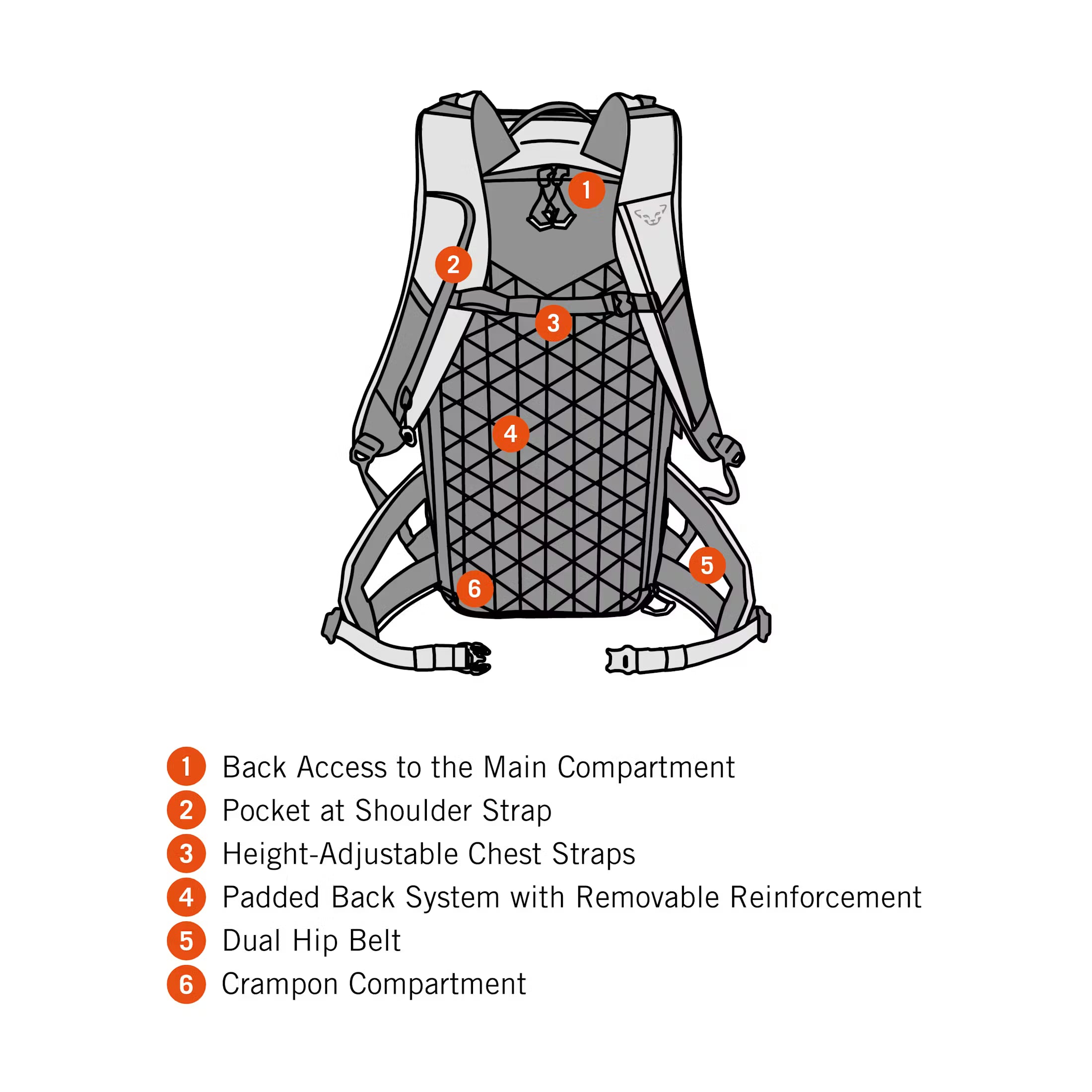 Dynafit W Free 32 Ski Touring Backpack – Cripple Creek Backcountry Dynafit W Free 32 Ski Touring Backpack – Cripple Creek Backcountry