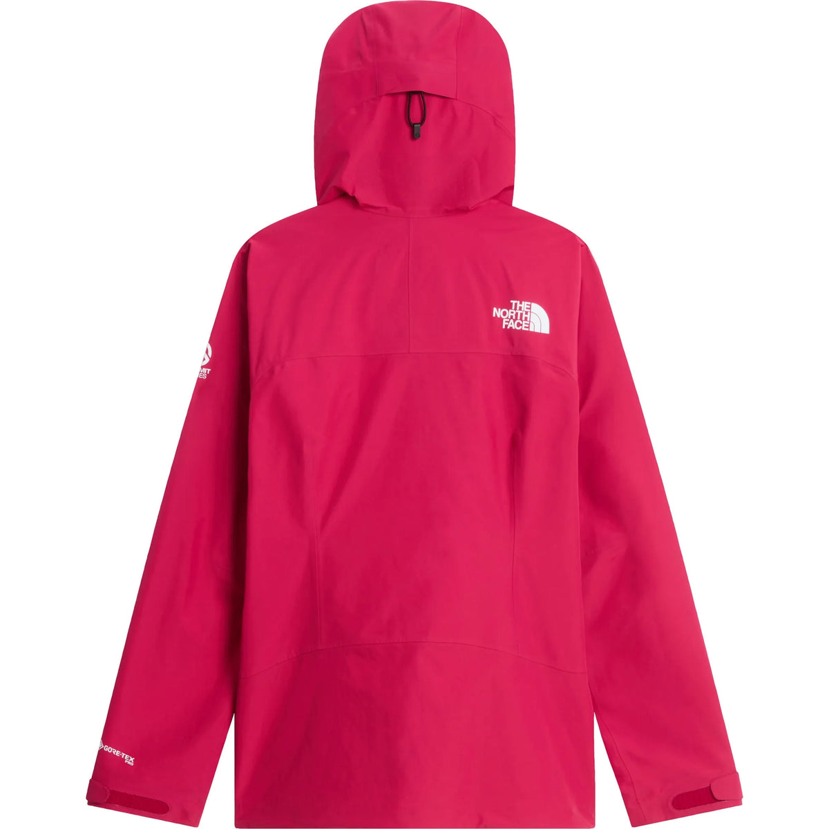 The North Face W Summit Cayesh GTX Pro Jacket Winter Apparel - Winter Apparel Womens Hardshell Top The North Face