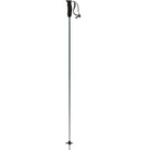 Atomic Revent Pole Poles - Alpine Poles Atomic 105 Silver Pine