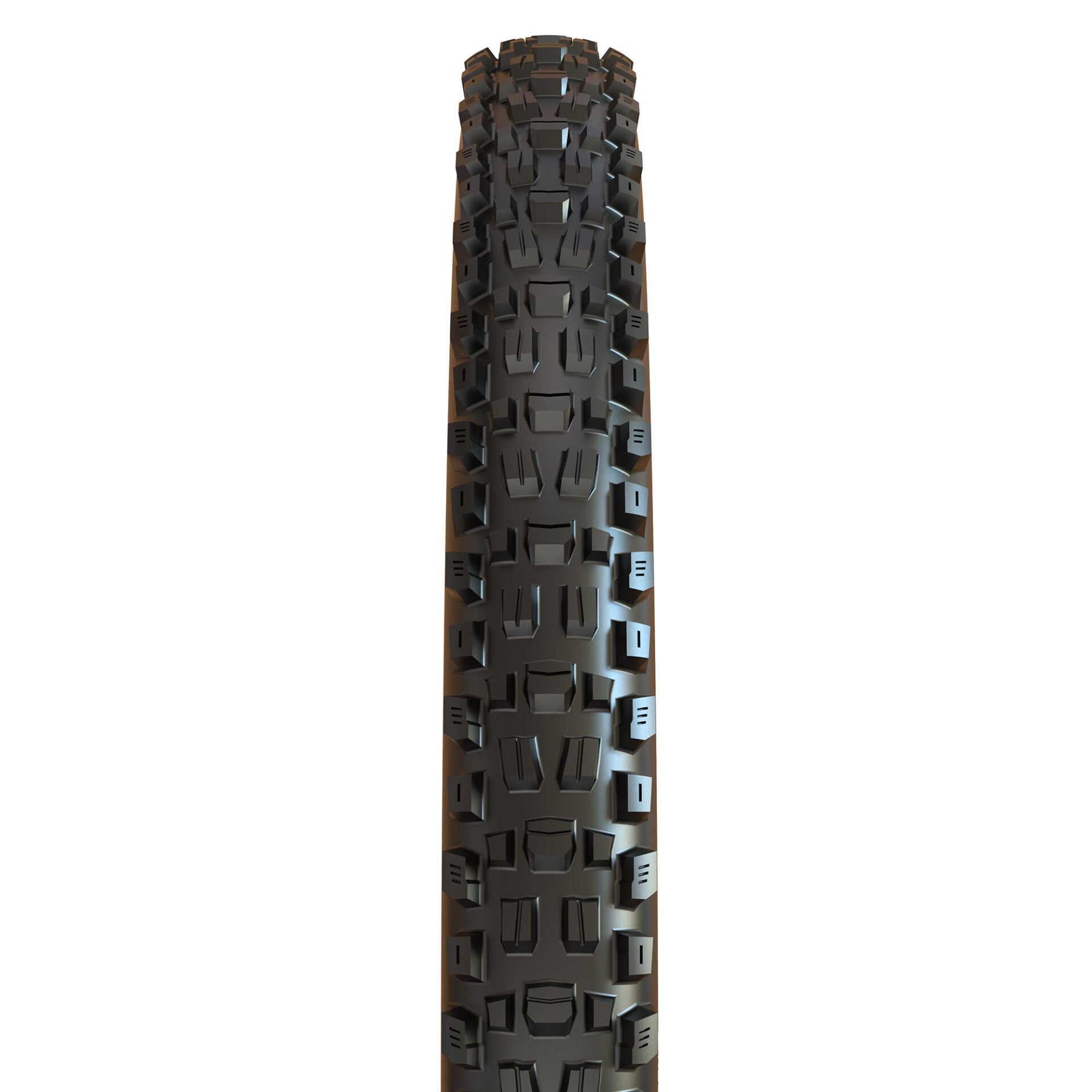 Maxxis Assegai 27.5x2.5 TR Black 3C MaxxTerra EXO WT Tires and Tubes - Mountain Tires - 27.5" Maxxis