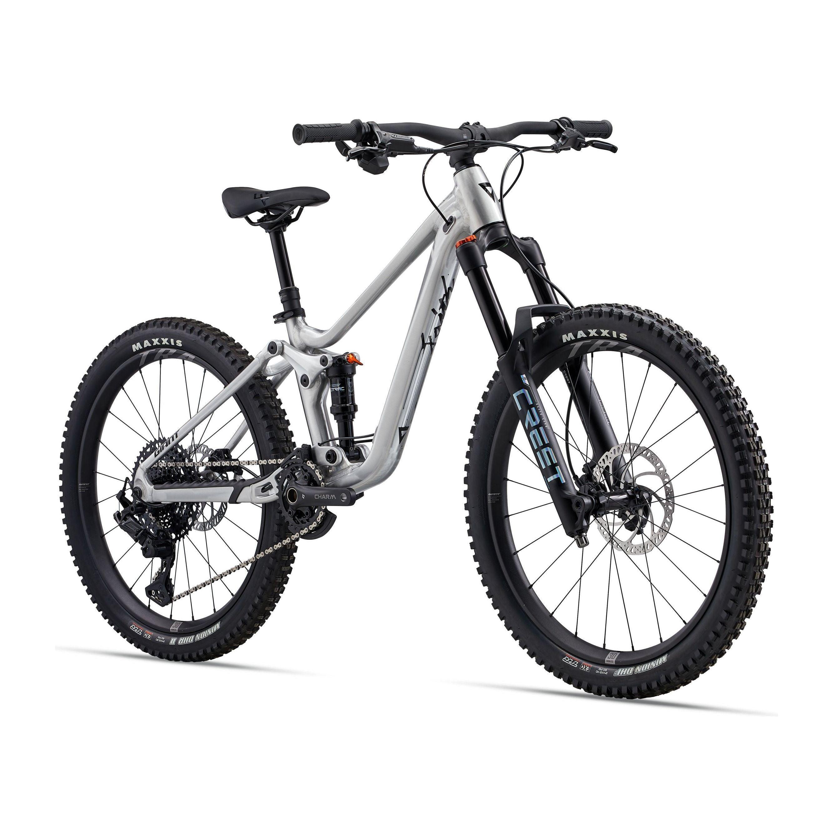 Giant Faith 24 Raw Aluminum Bicycle - Kids Bikes - 24" Giant   