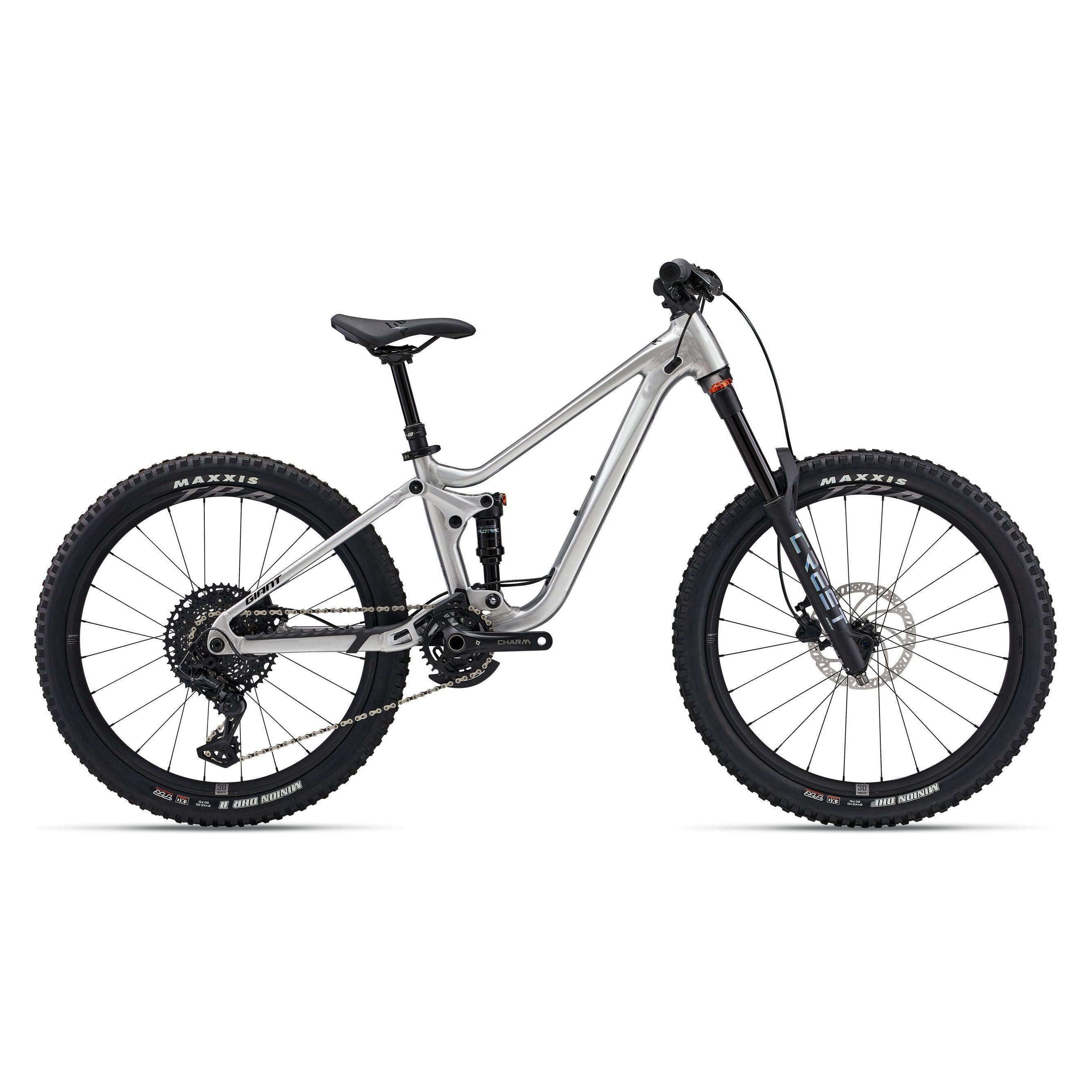 Giant Faith 24 Raw Aluminum Bicycle - Kids Bikes - 24" Giant   
