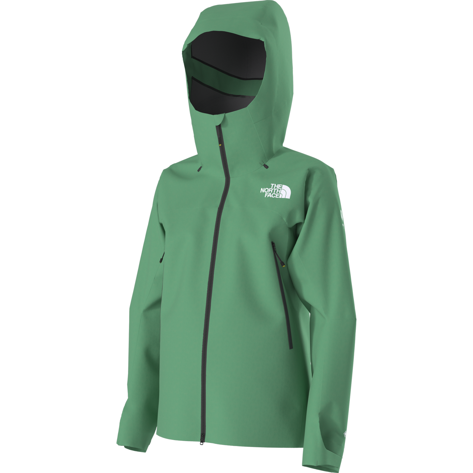 The North Face Women's Summit Cayesh GTX Pro Jacket Winter Apparel - Winter Apparel Womens Hardshell Top The North Face
