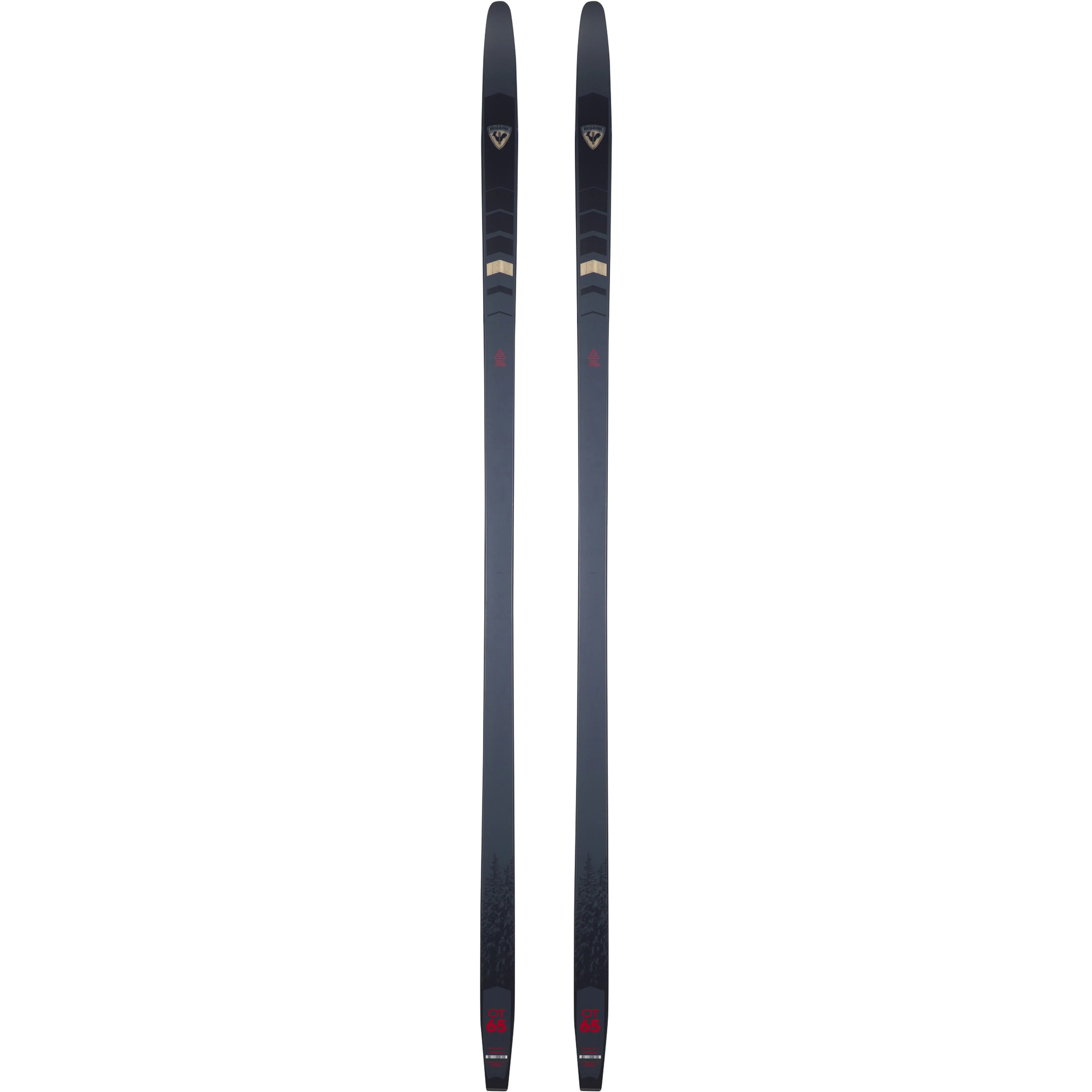 Rossignol Evo OT 65 Nordic Skis Skis - Nordic Skis Rossignol 165