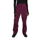 The North Face W Summit Chamlang Futurelight Pant - Cripple Creek Backcountry