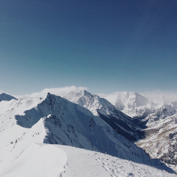 Backcountry Ski Touring Store Aspen Colorado 