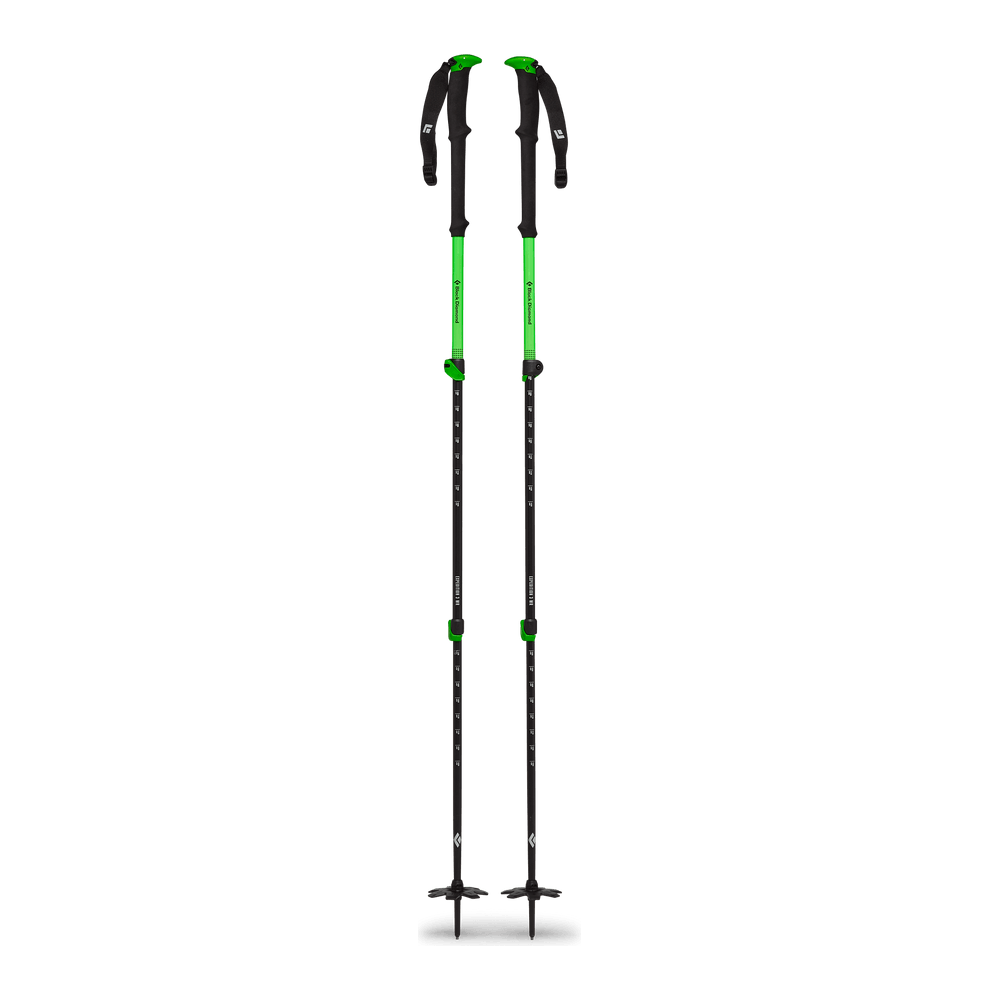 Black Diamond Expedition 3 Whippet-Ready Ski Pole Poles - Touring Poles Black Diamond   