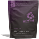 Tailwind Recovery Mix Cycling Accessories - Food Tailwind Nutrition Chocolate (15 servings)  